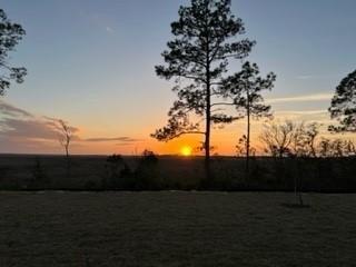Stonehurst Pkwy, Fernandina Beach, FL 32034