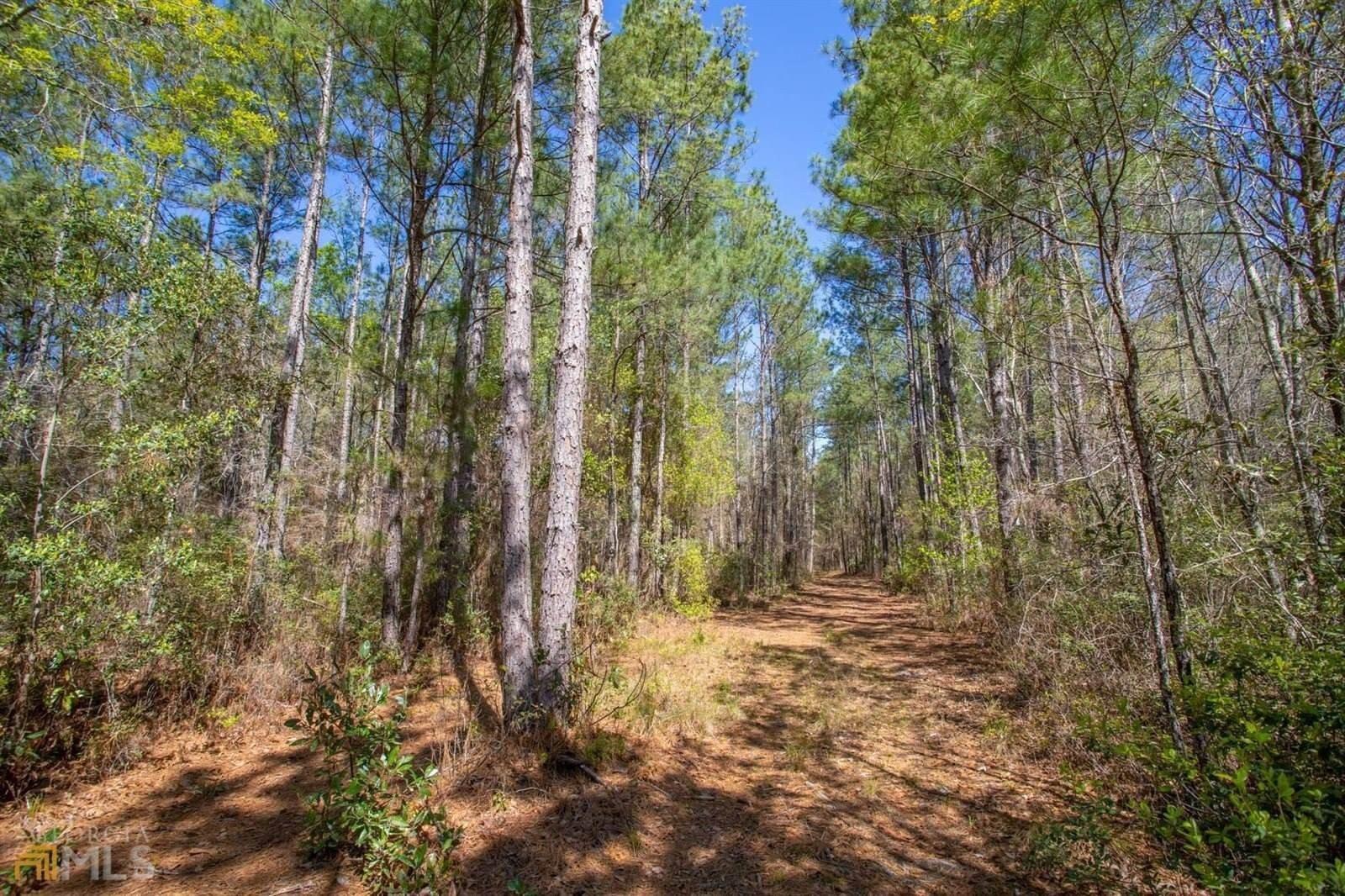 Old Groveland Rd, Pembroke, GA 31321