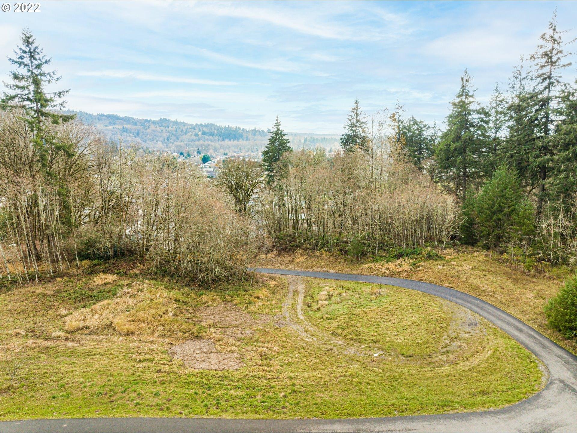 Gun Club Rd, Woodland, WA 98674
