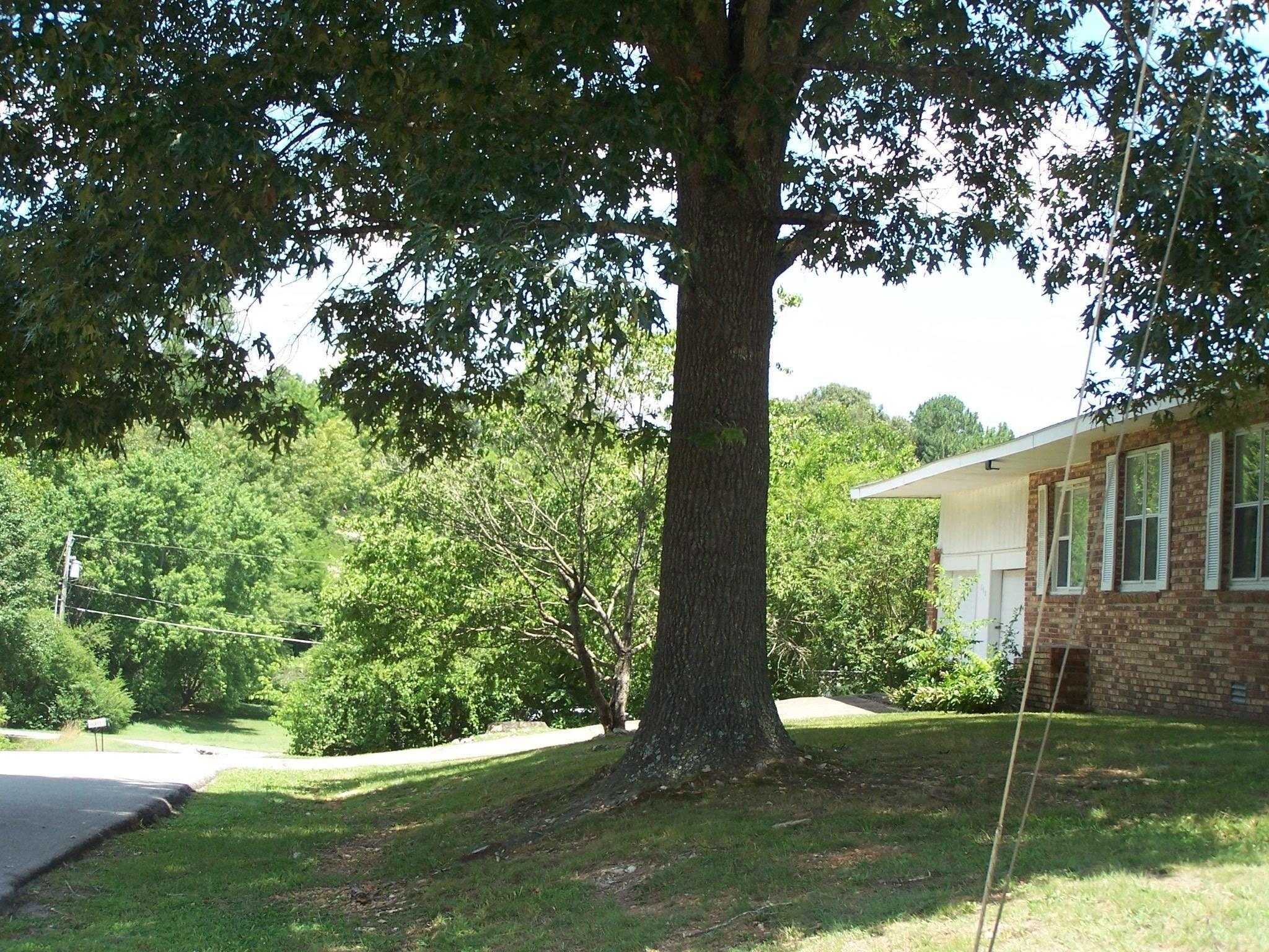 S 12th St, Mammoth Spring, AR 72554