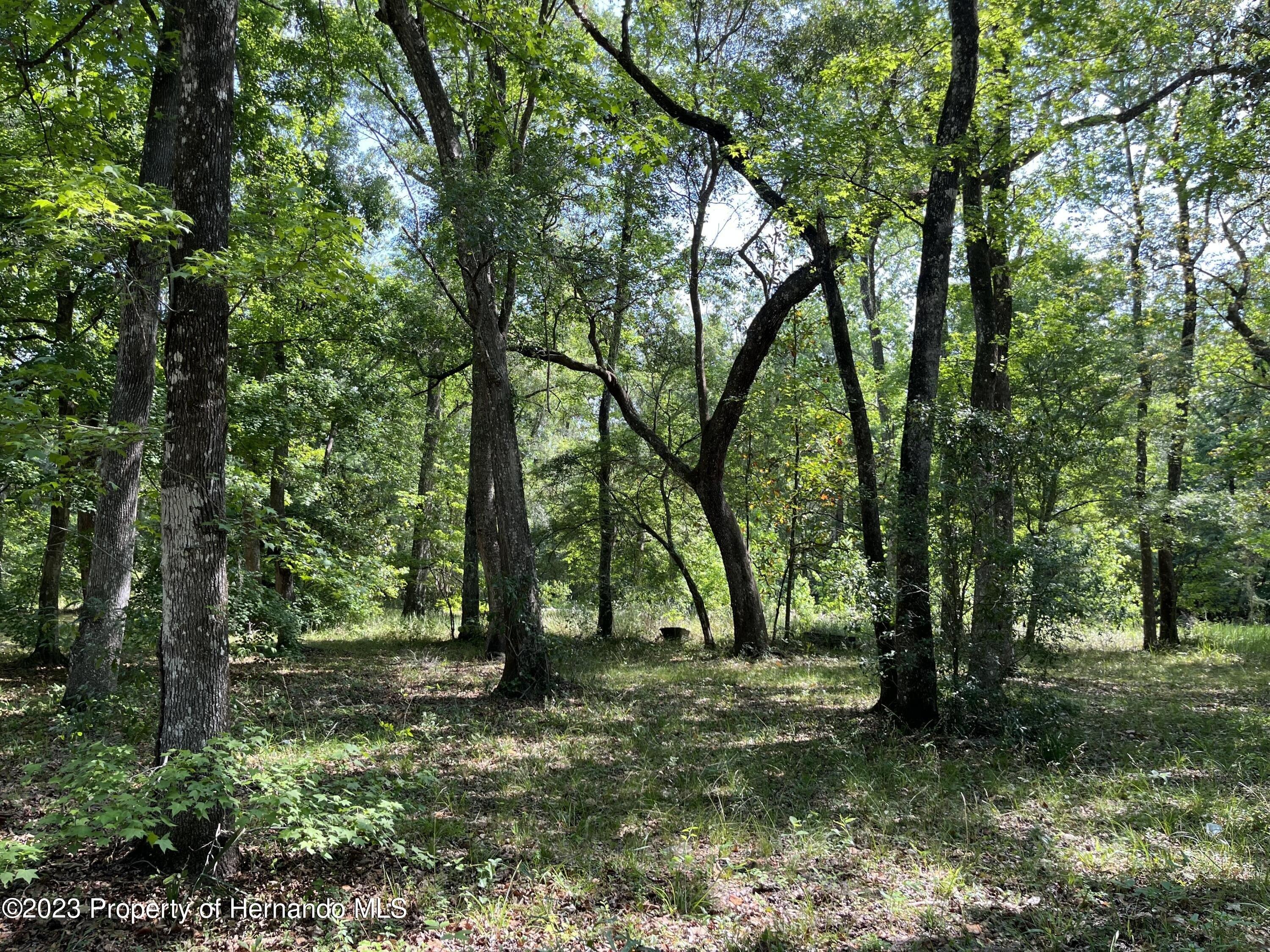 Joy Path, Brooksville, FL 34601