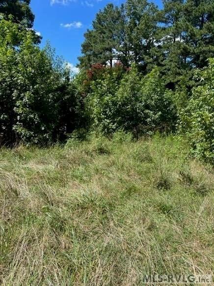 Adsit Ln, Freeman, VA 23856