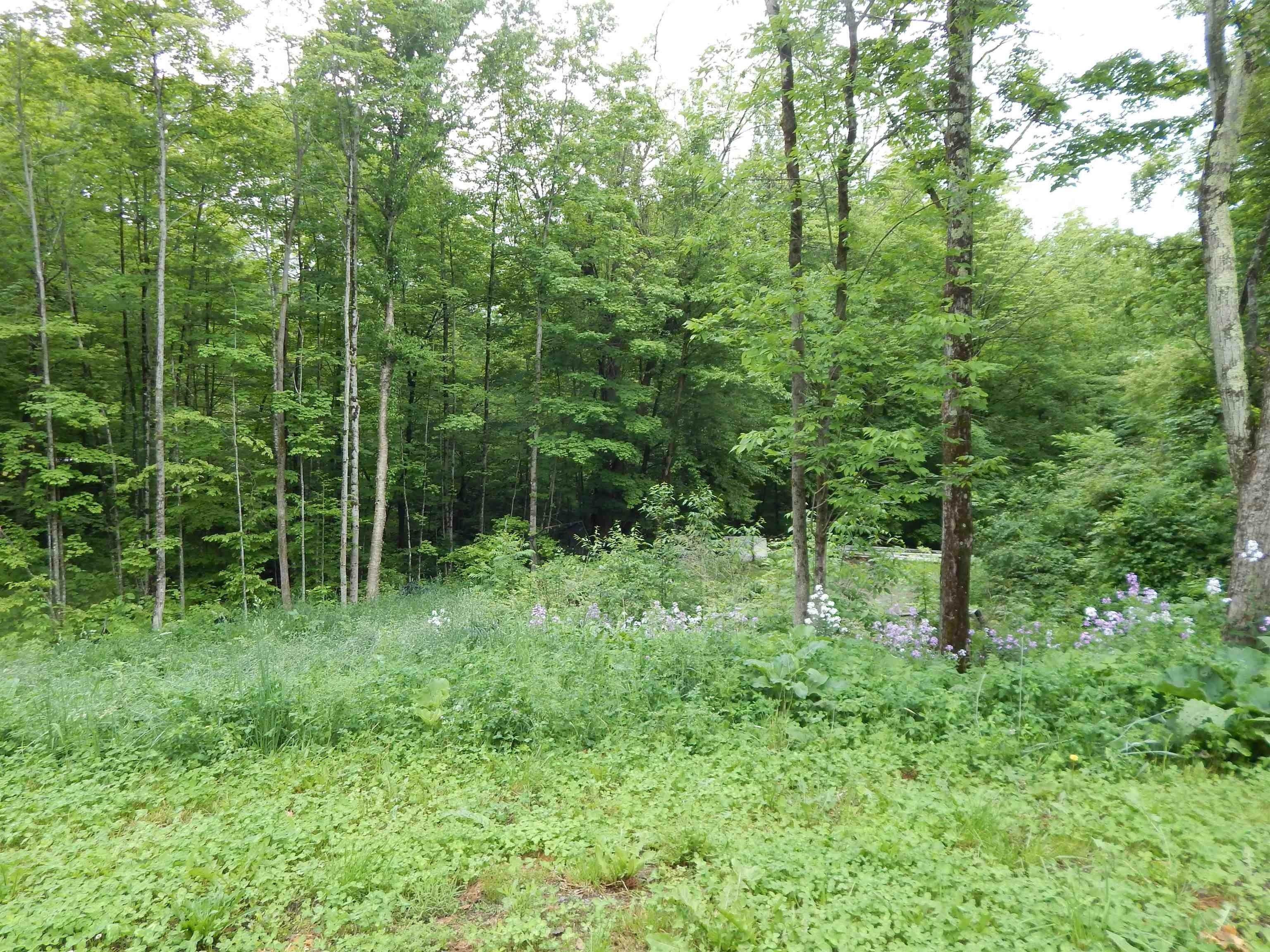 North Rd, Hinesburg, VT 05461