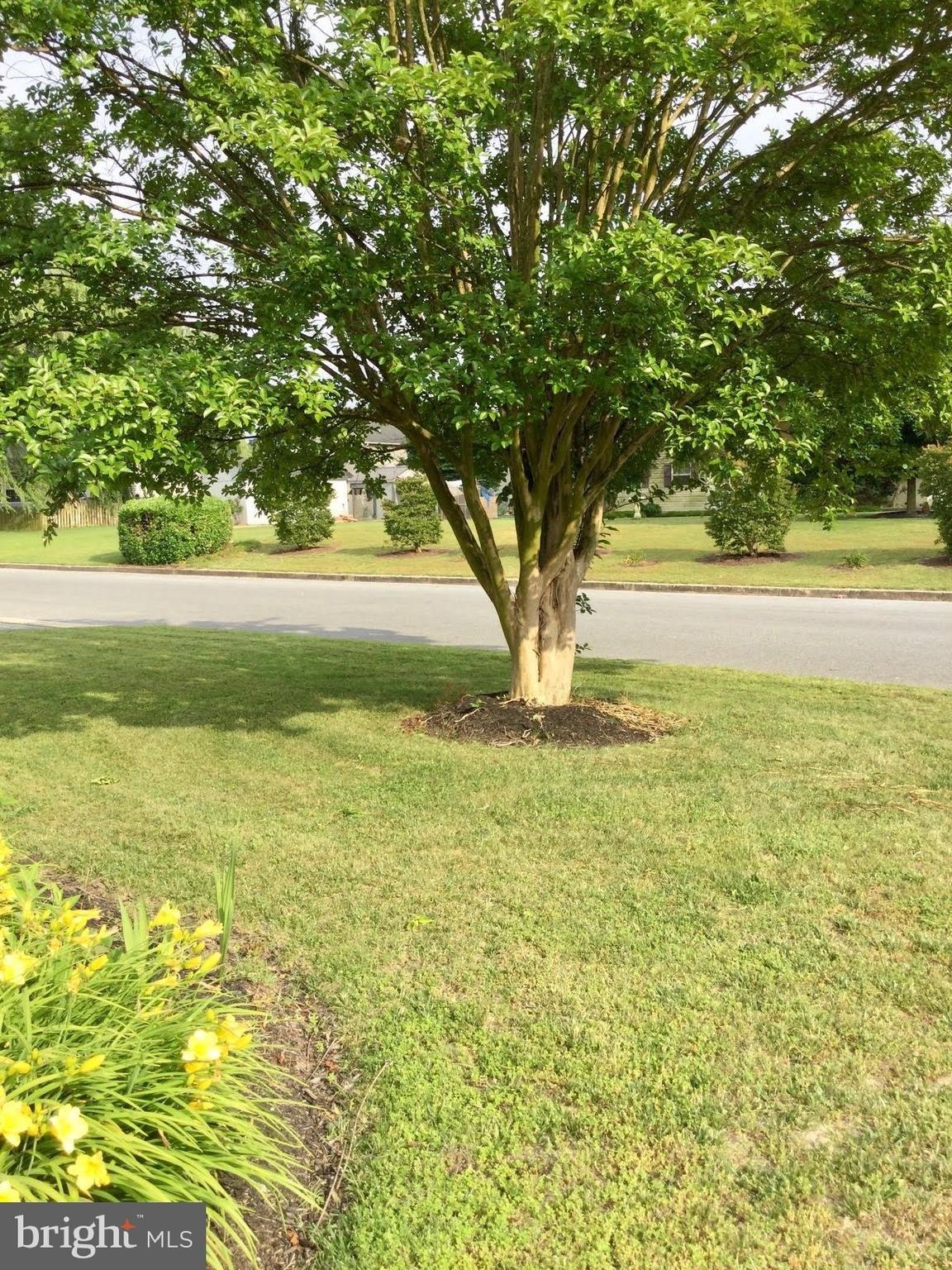 Miles Cir, Hurlock, MD 21643