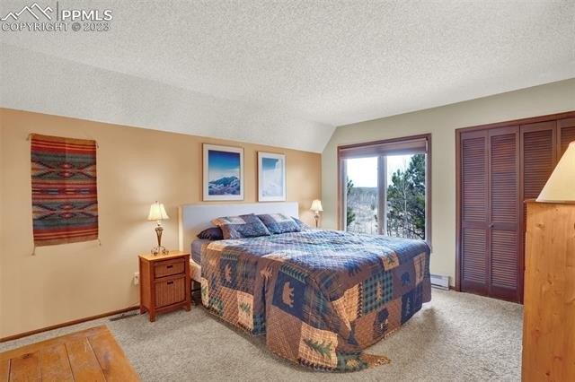 Brown Pl, Woodland Park, CO 80863