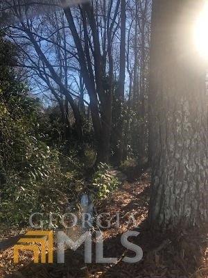Lake Carlton Rd, Loganville, GA 30052