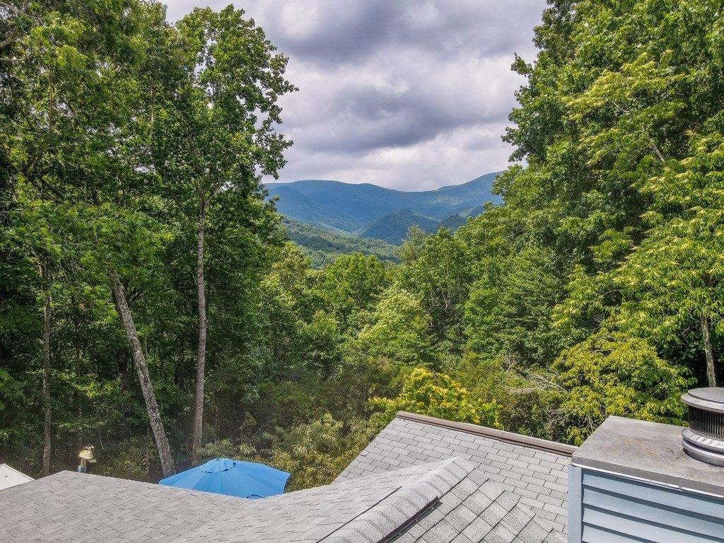 Laurel Ln, Otto, NC 28763