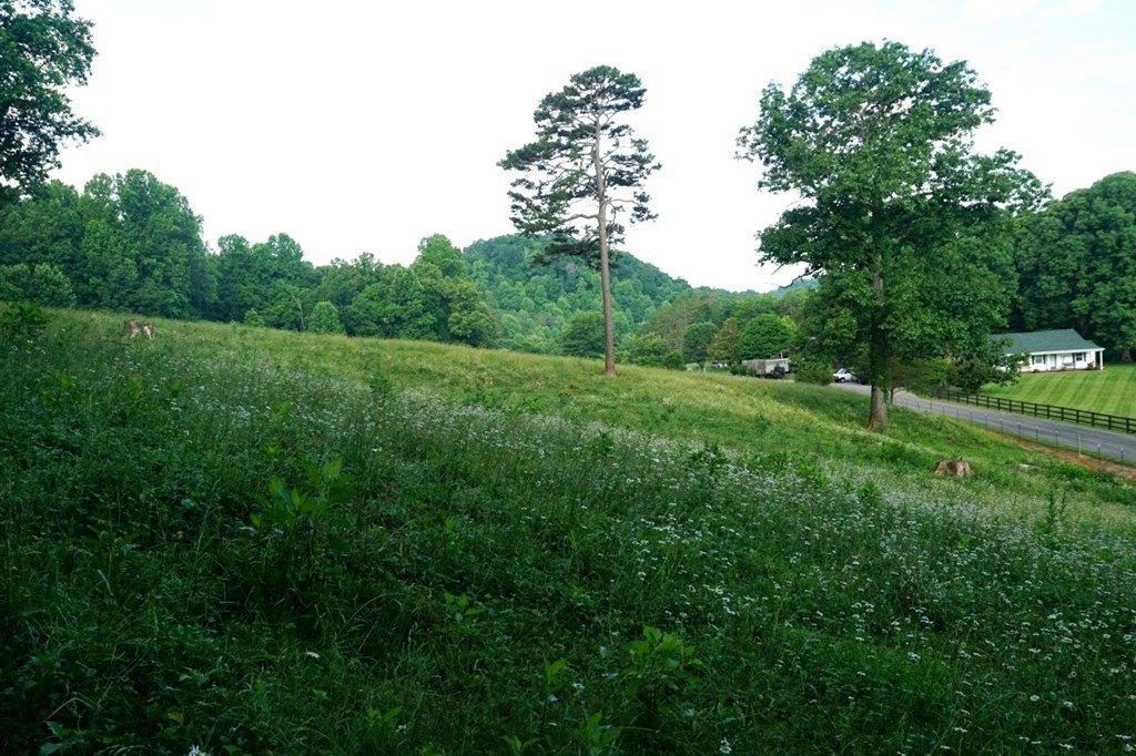 Wonder Ln, New Market, TN 37820