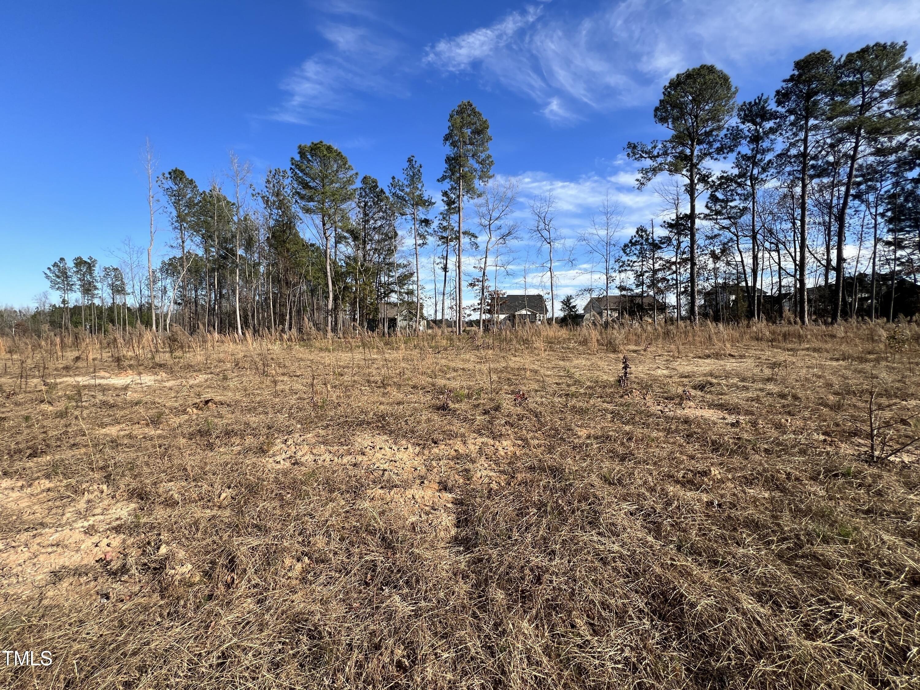 Hartwell Ct, Zebulon, NC 27597