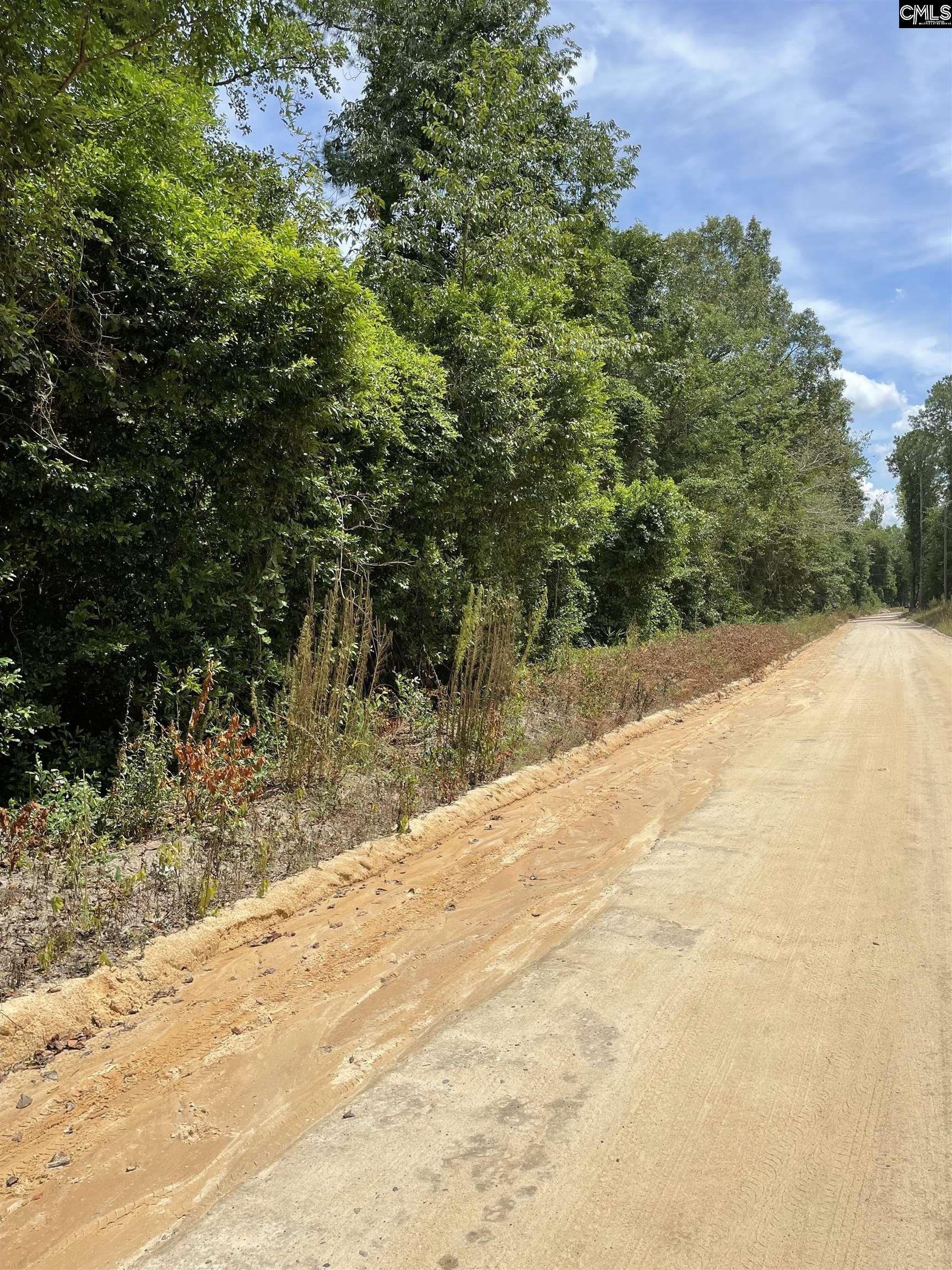 Quinton Ricard Rd, Leesville, SC 29070