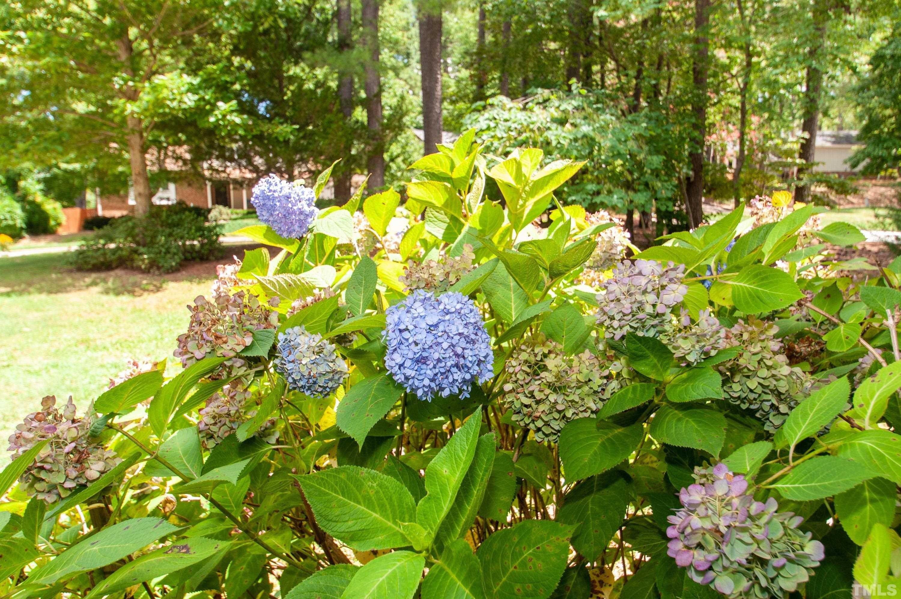 Van Haven Dr, Raleigh, NC 27615