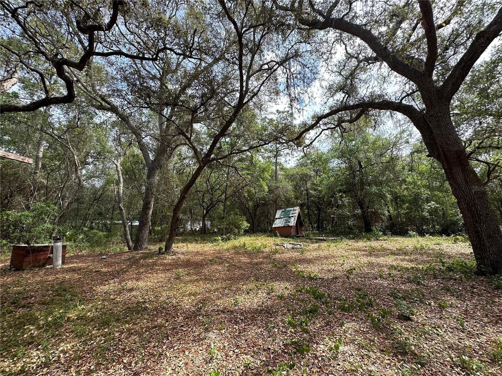 Se 92nd Pl, Ocklawaha, FL 32179