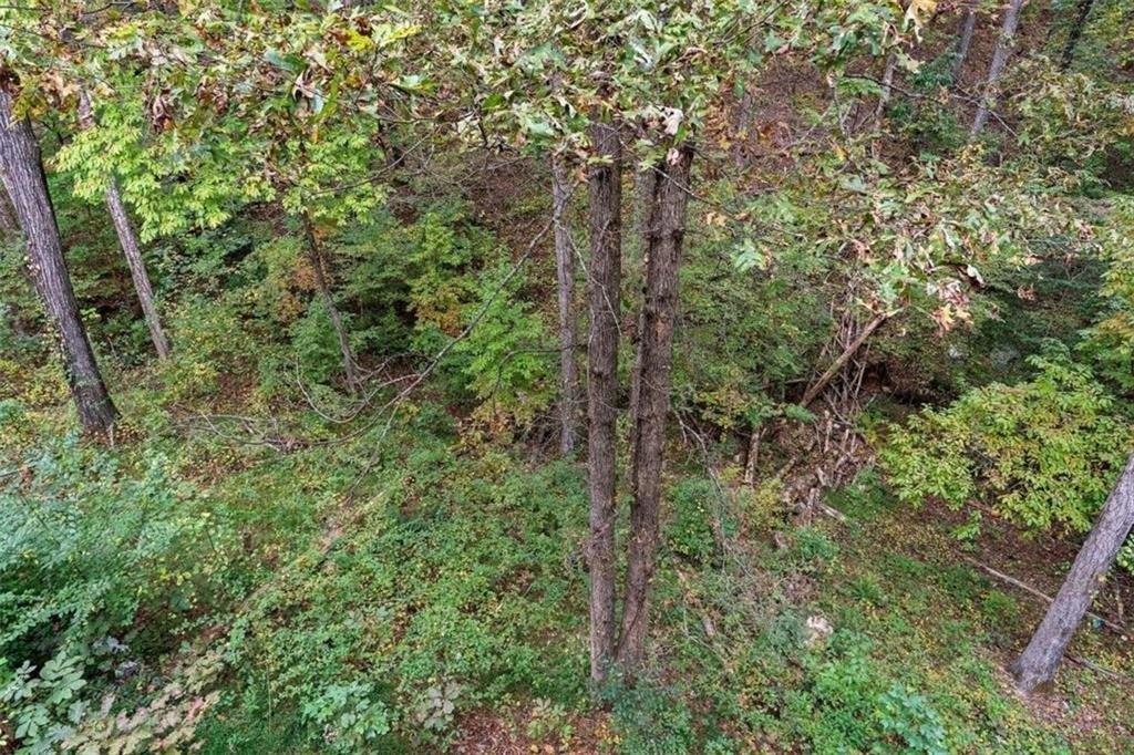 Old Still Run Rd, Gainesville, GA 30506