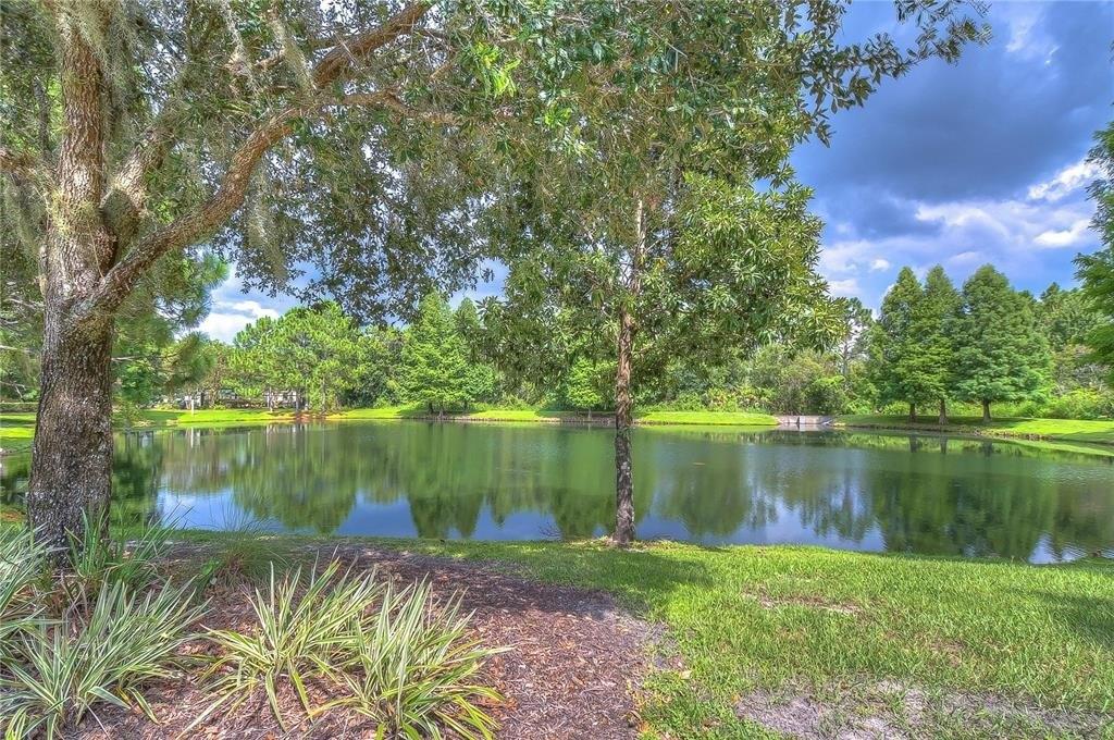 Pensford Ct, Wesley Chapel, FL 33543