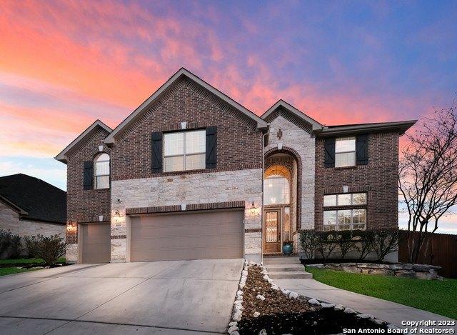 Firebush, San Antonio, TX 78261