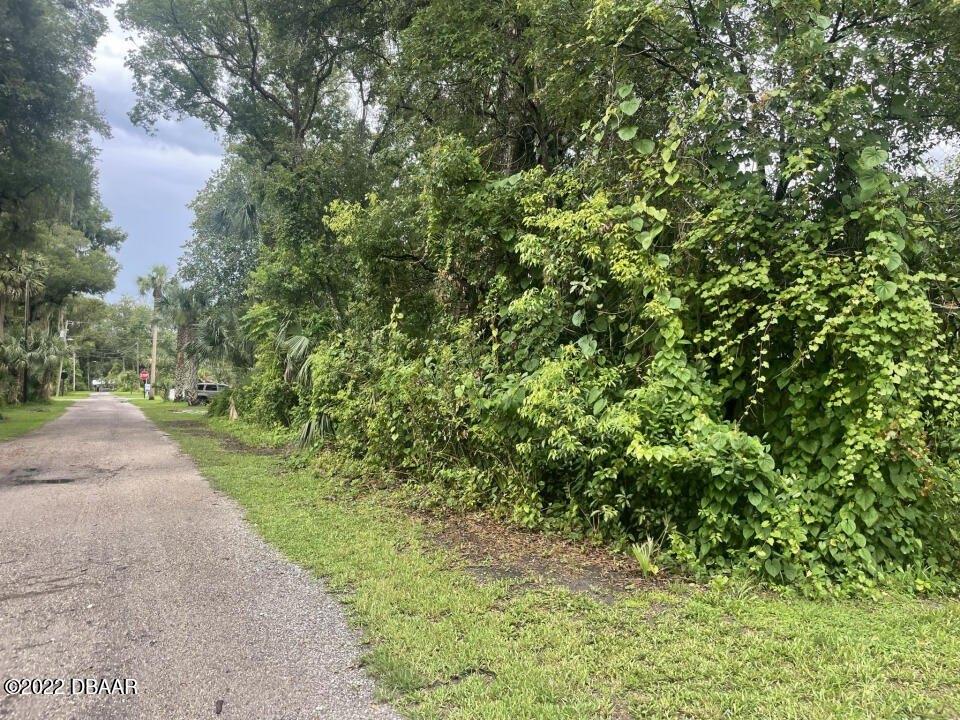 Baker Ave, Lake Helen, FL 32744