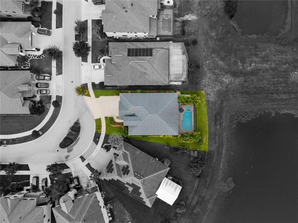 Drifting Leaf Dr, Riverview, FL 33579