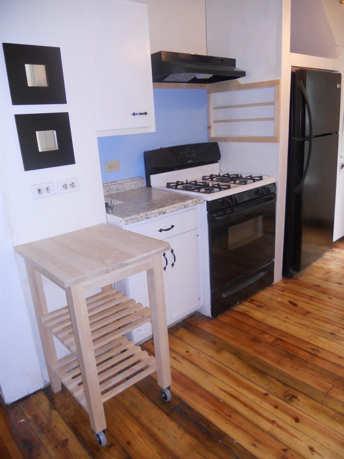 Frederick St, Oneonta, NY 13820