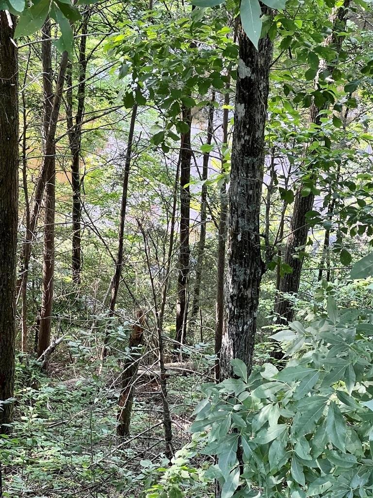 Timberlake Dr, Sevierville, TN 37862
