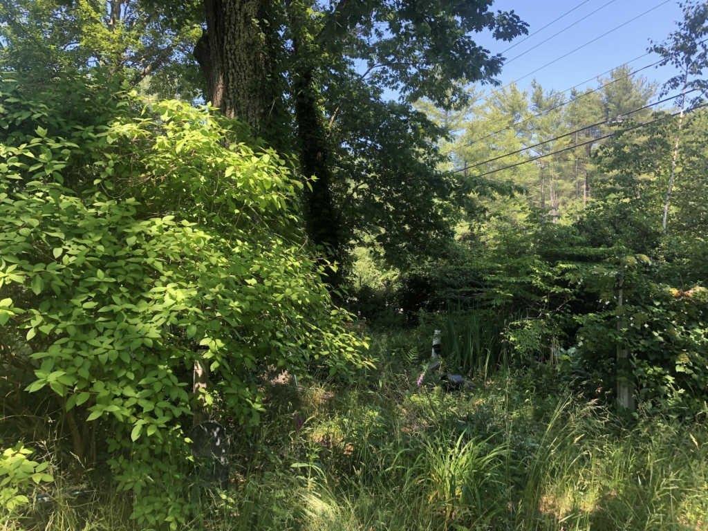 School St, Berwick, ME 03901