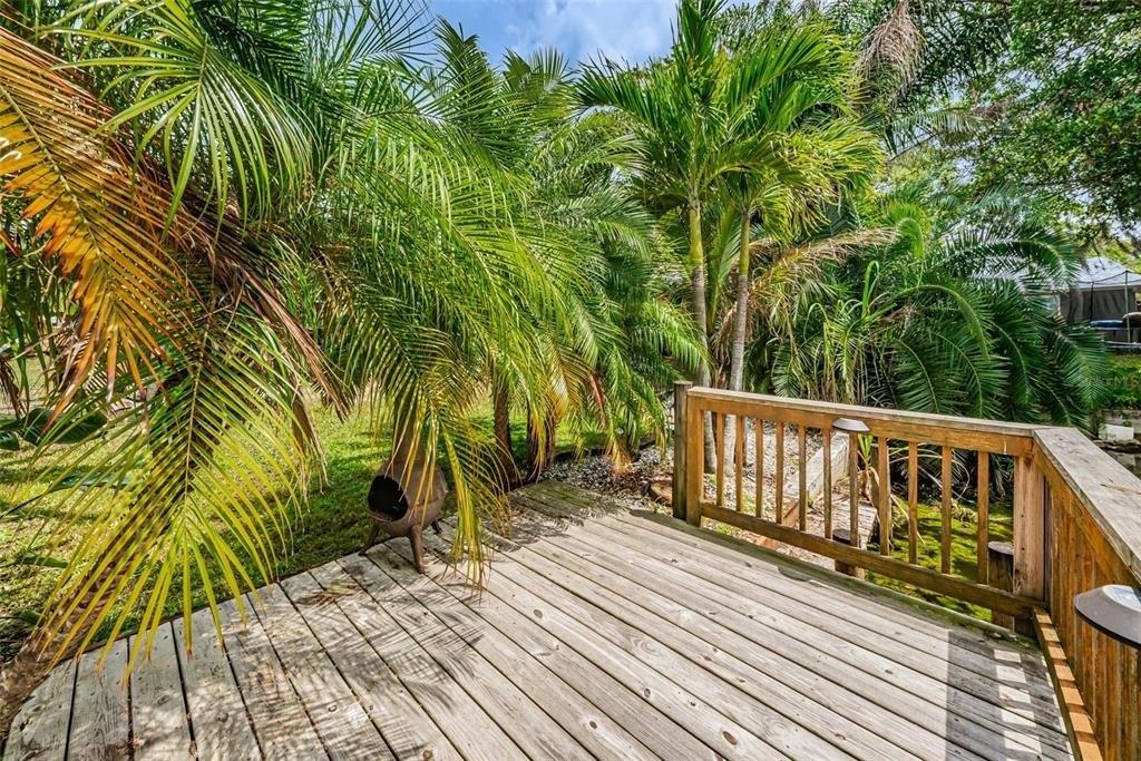Swallowtail Dr, New Port Richey, FL 34653