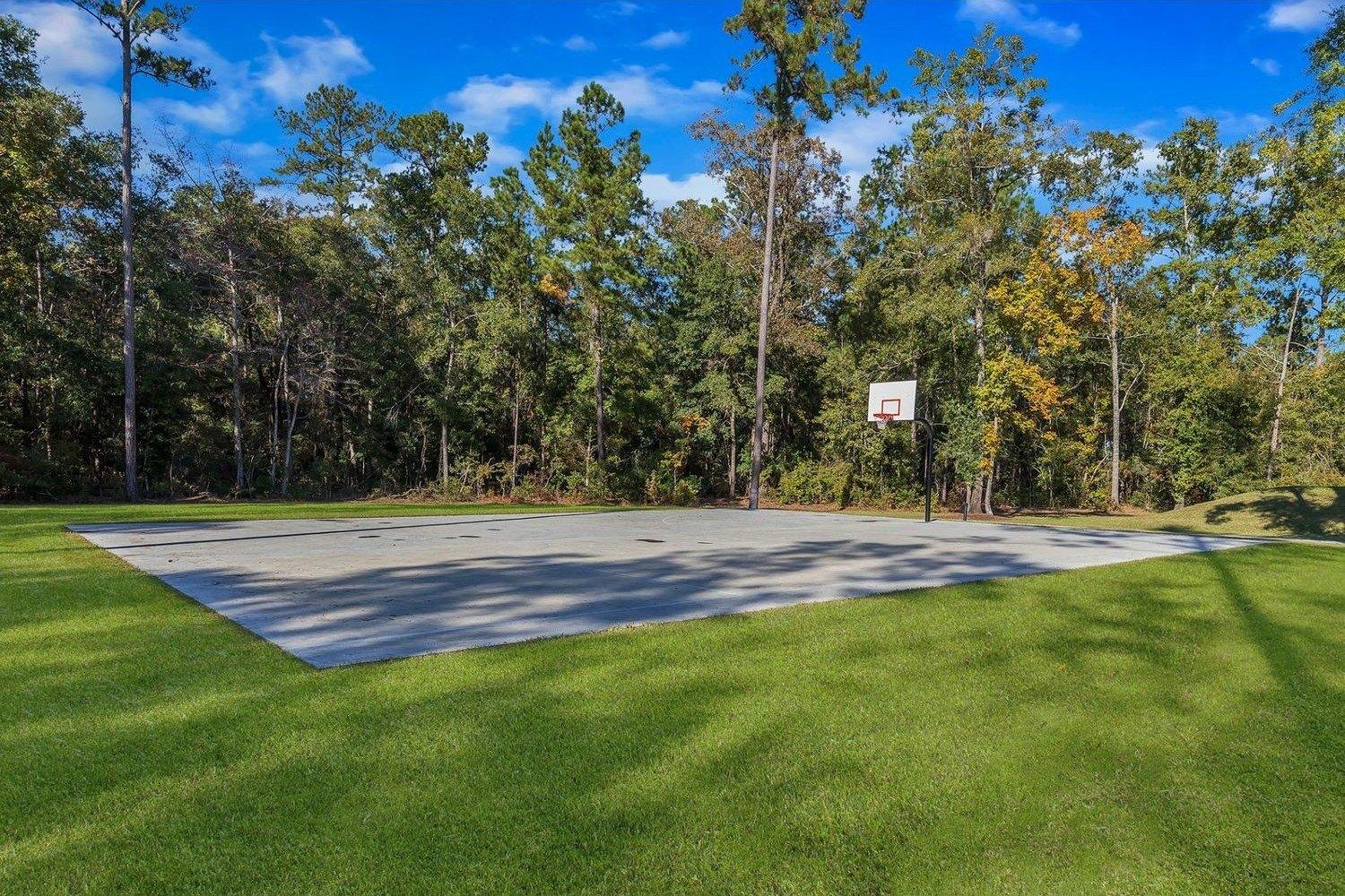 Small Pine Ln, Richmond Hill, GA 31324
