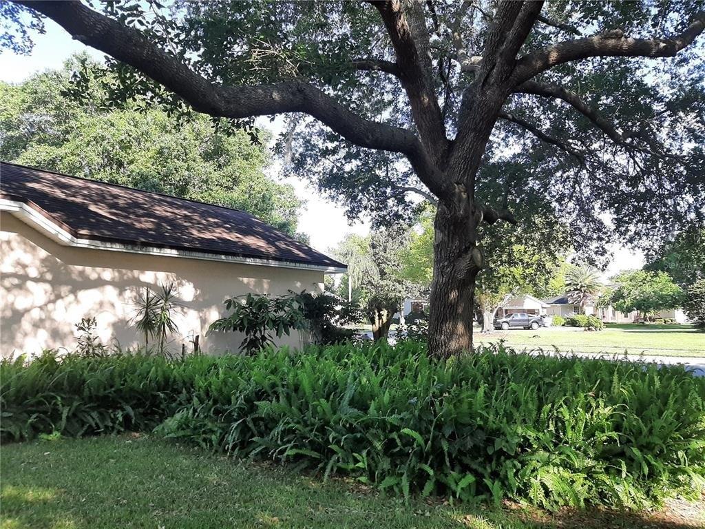 Laurel Ridge Dr, Mount Dora, FL 32757