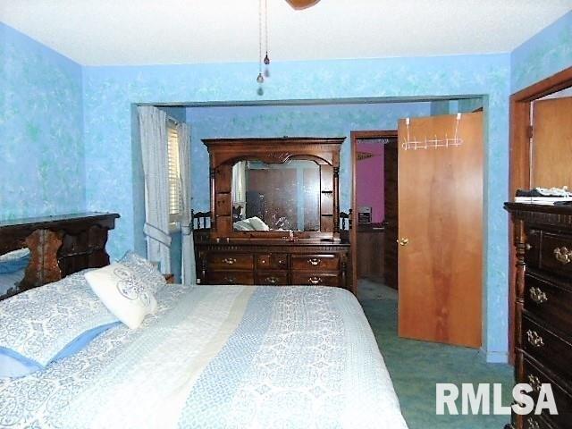 Pine Ln, Murphysboro, IL 62966