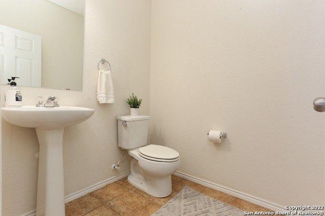 Desert Ash, San Antonio, TX 78261