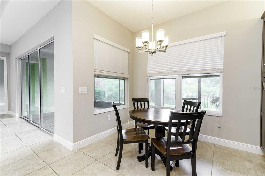 Chesapeake Bay Dr, Wesley Chapel, FL 33543