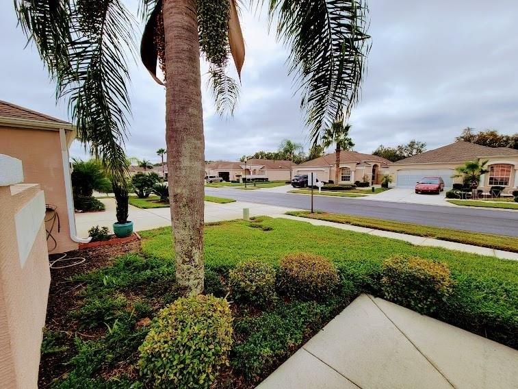 Royal Palm Way, Spring Hill, FL 34608