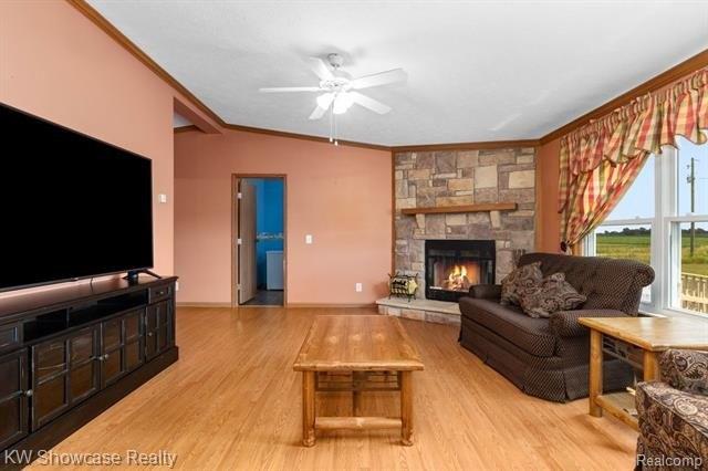 N Neff Rd, Edmore, MI 48829