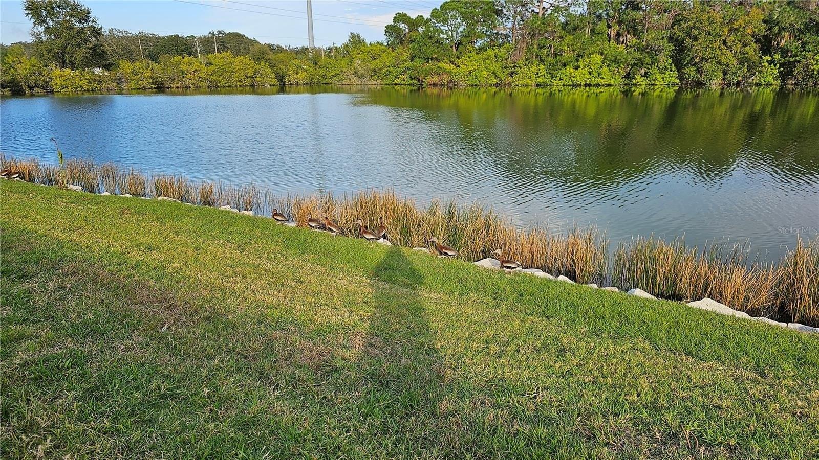 Mainlands Blvd S, Pinellas Park, FL 33782