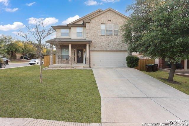 Celosia, San Antonio, TX 78245