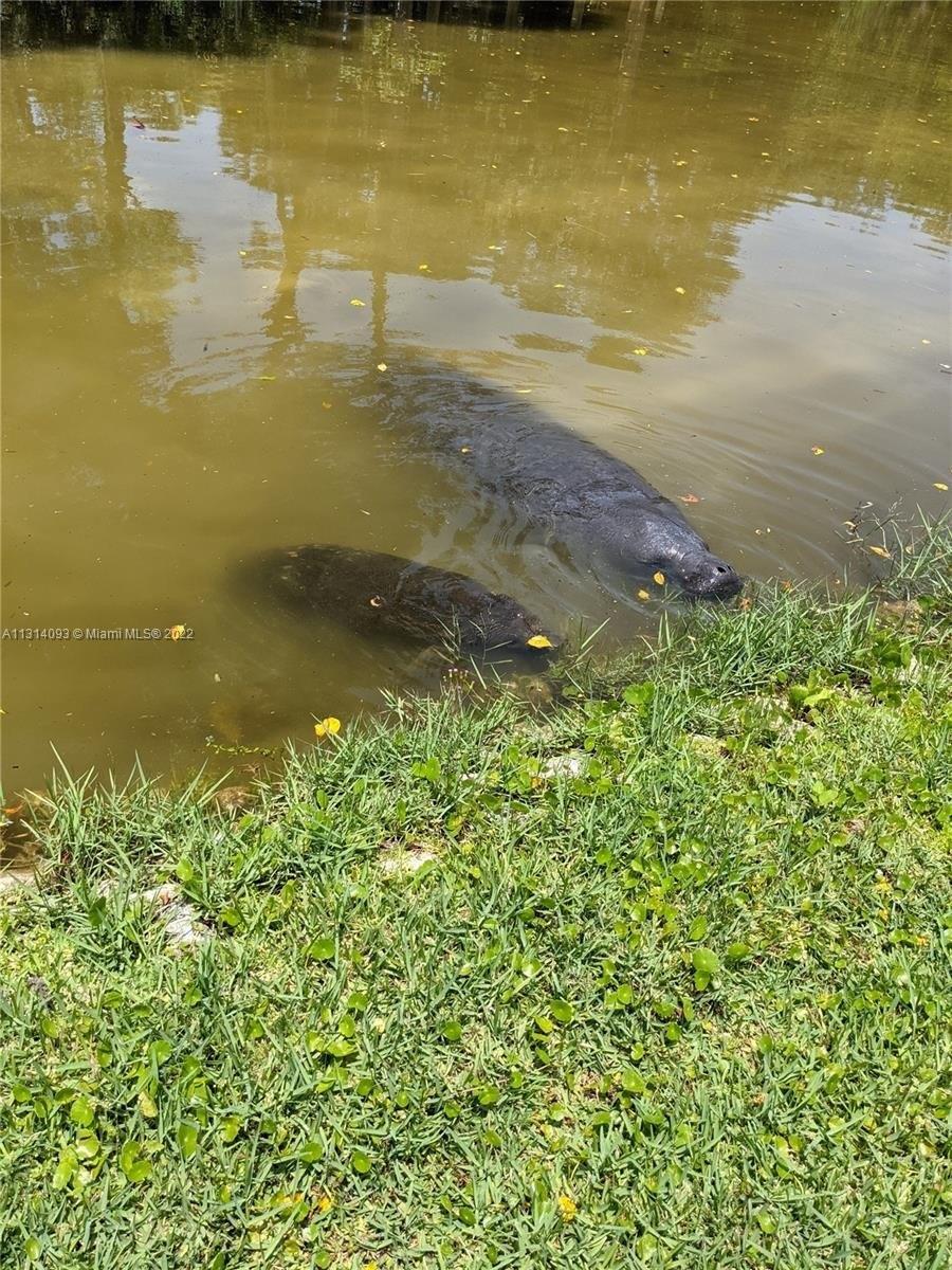 51st St Nw, Bradenton, FL 34209