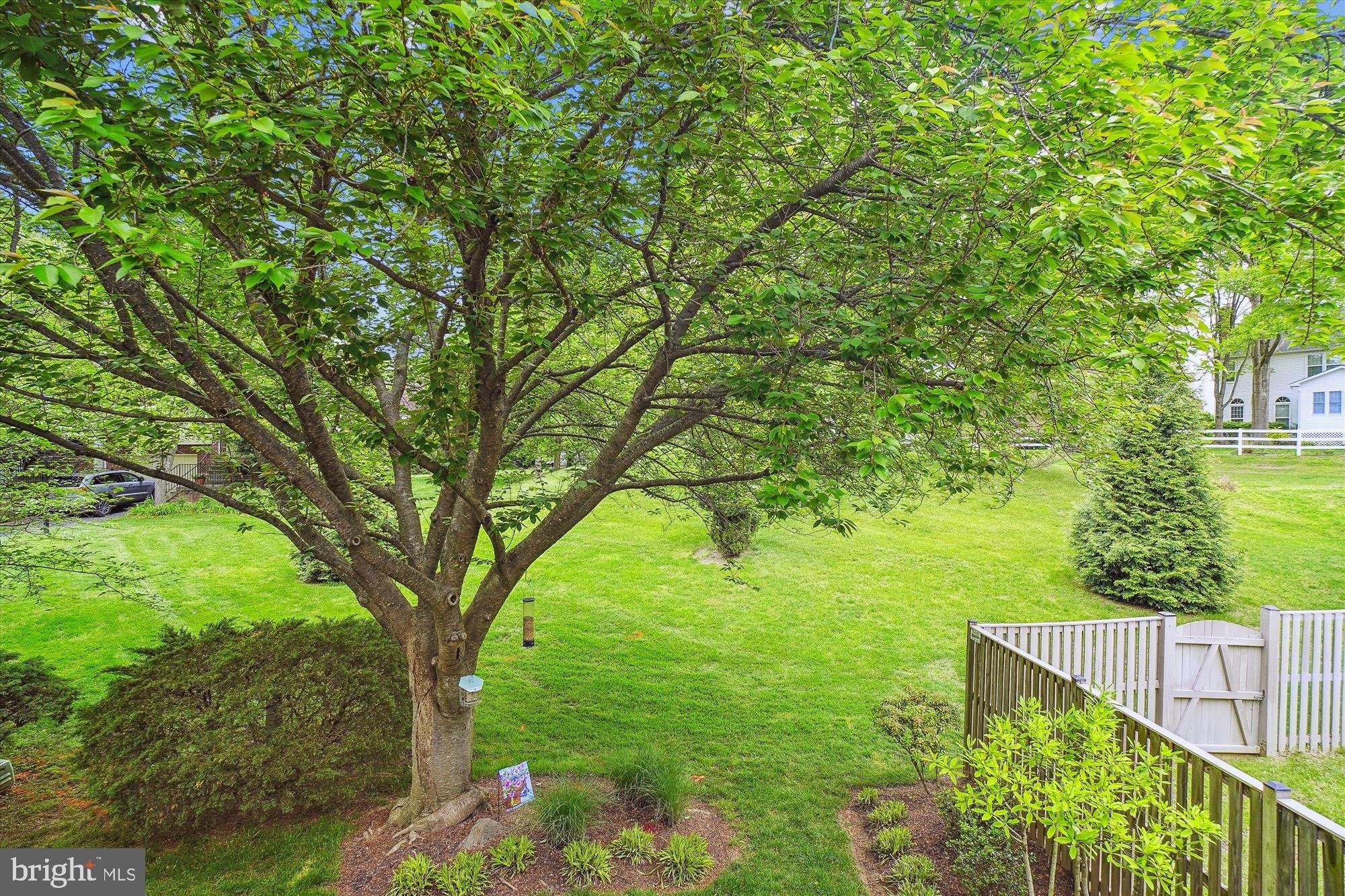 Battery Bend Ct, Montgomery Village, MD 20886