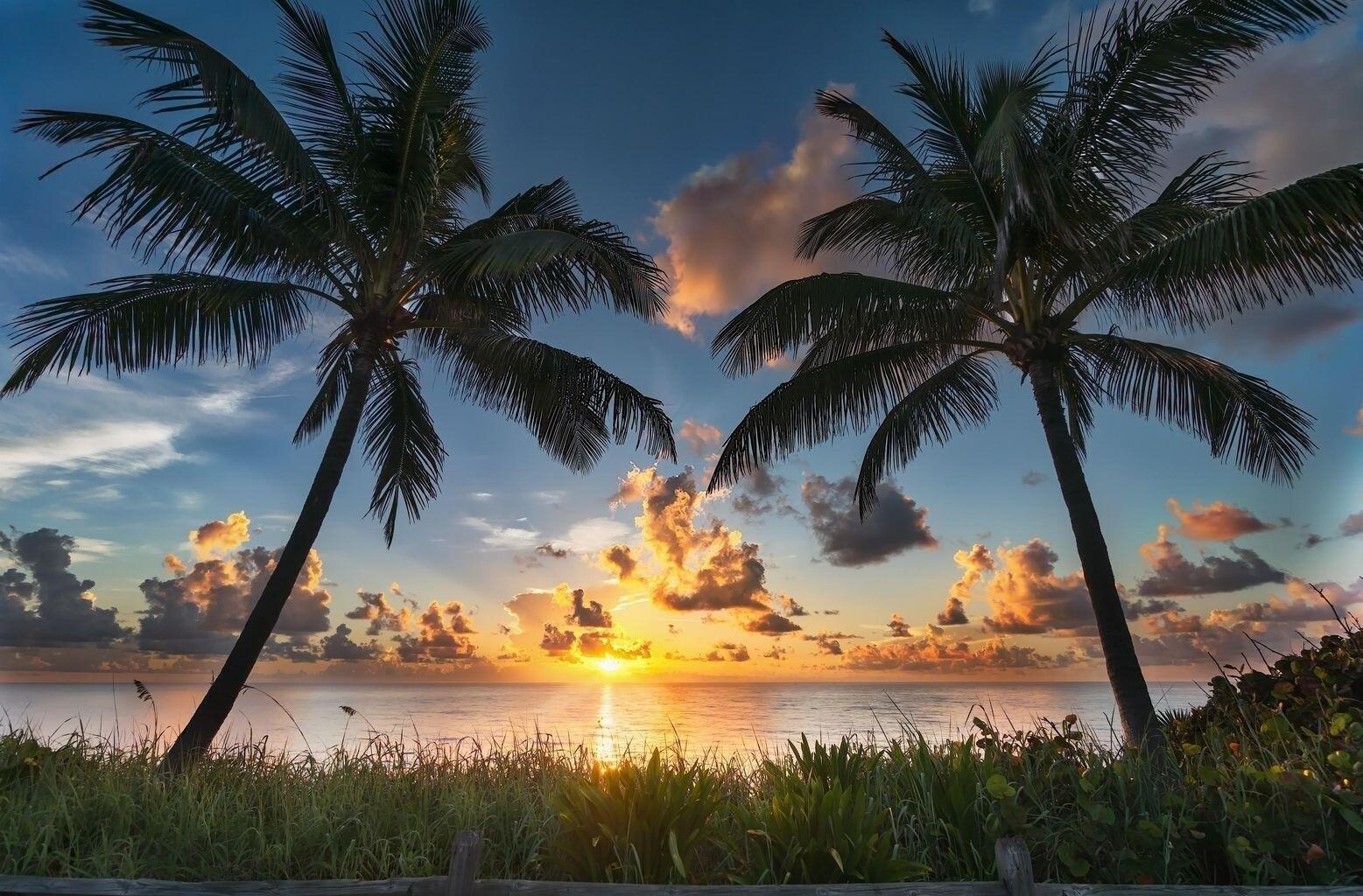 Andros Harbour Pl, Jupiter, FL 33458