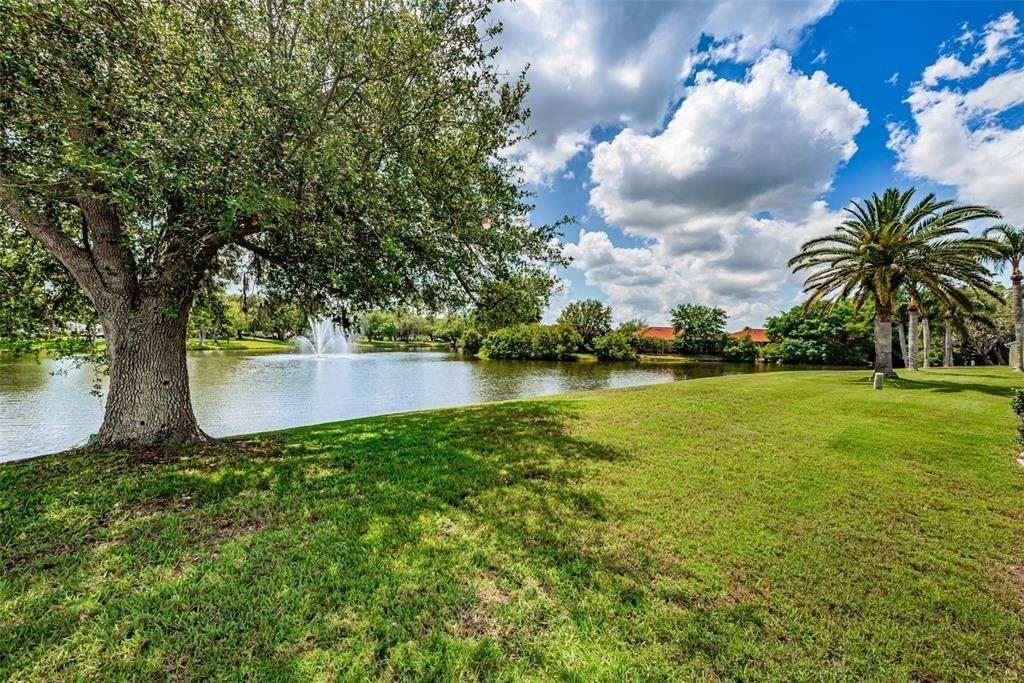 Balharbour Dr, New Port Richey, FL 34653