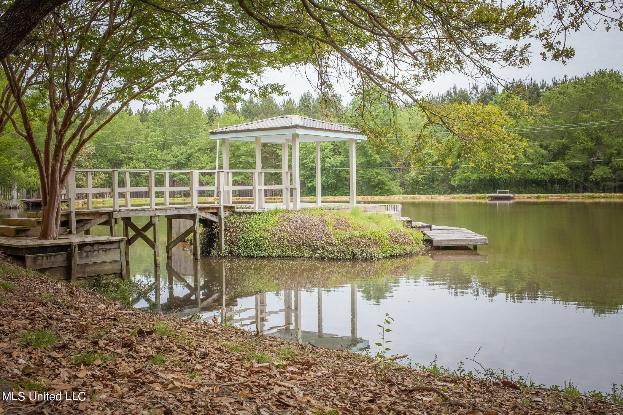 Bozeman Paine Cir, Madison, MS 39110