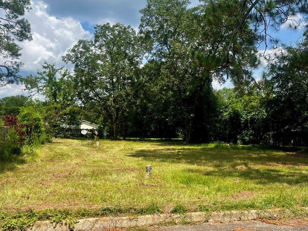 Newton St, Hartford, AL 36344