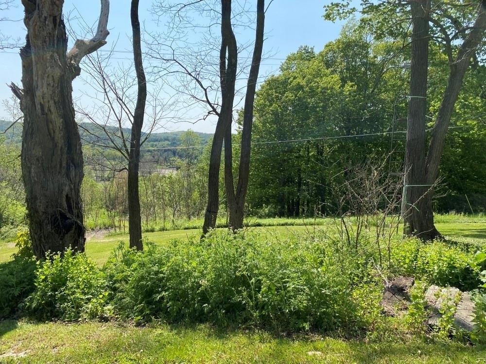 State Highway 205, Oneonta, NY 13820