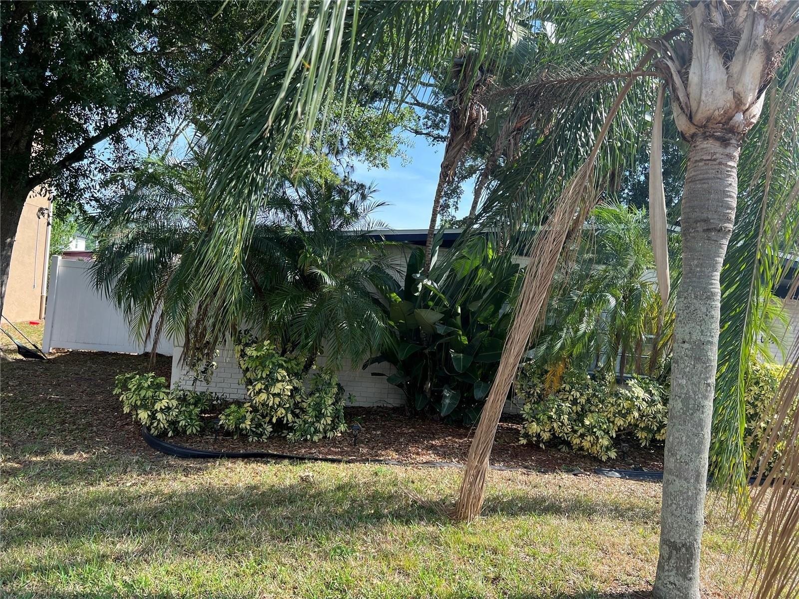 W La Salle St, Tampa, FL 33607