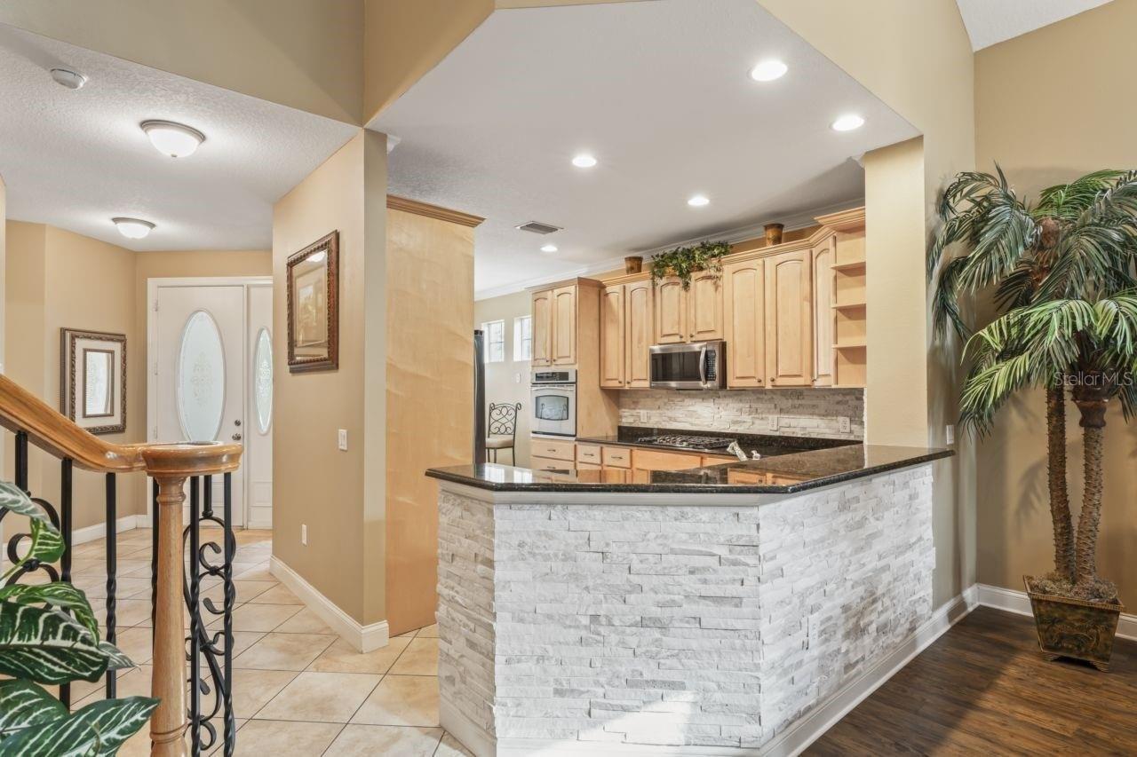Paw Paw Pl, Trinity, FL 34655