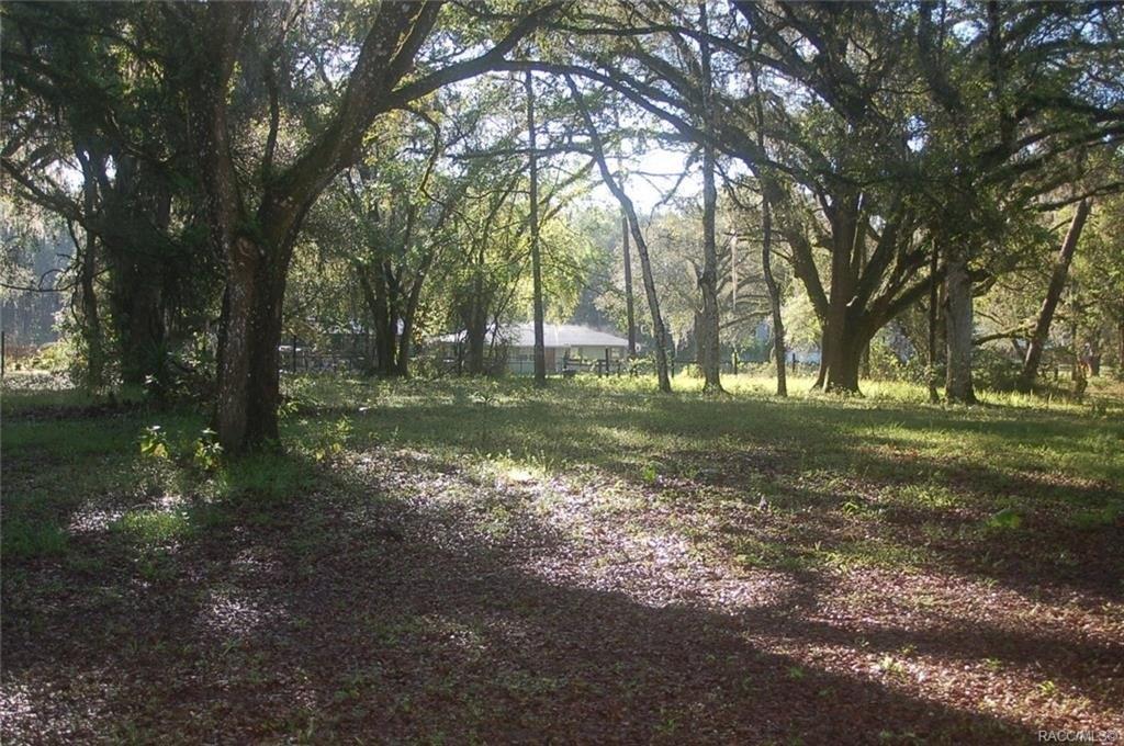S Thexa Ter, Floral City, FL 34436