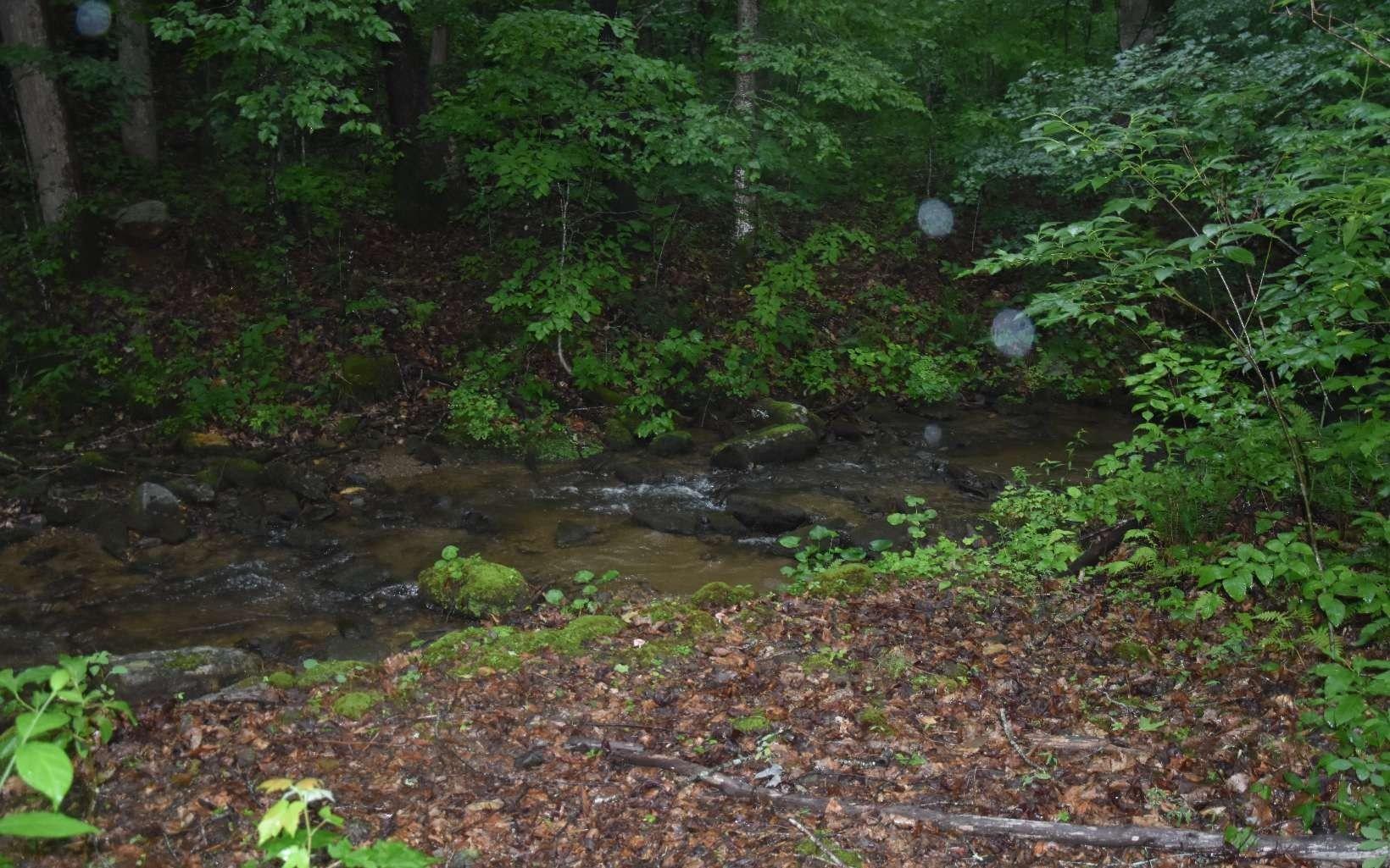 Hickory Cove Ln, Hiawassee, GA 30546