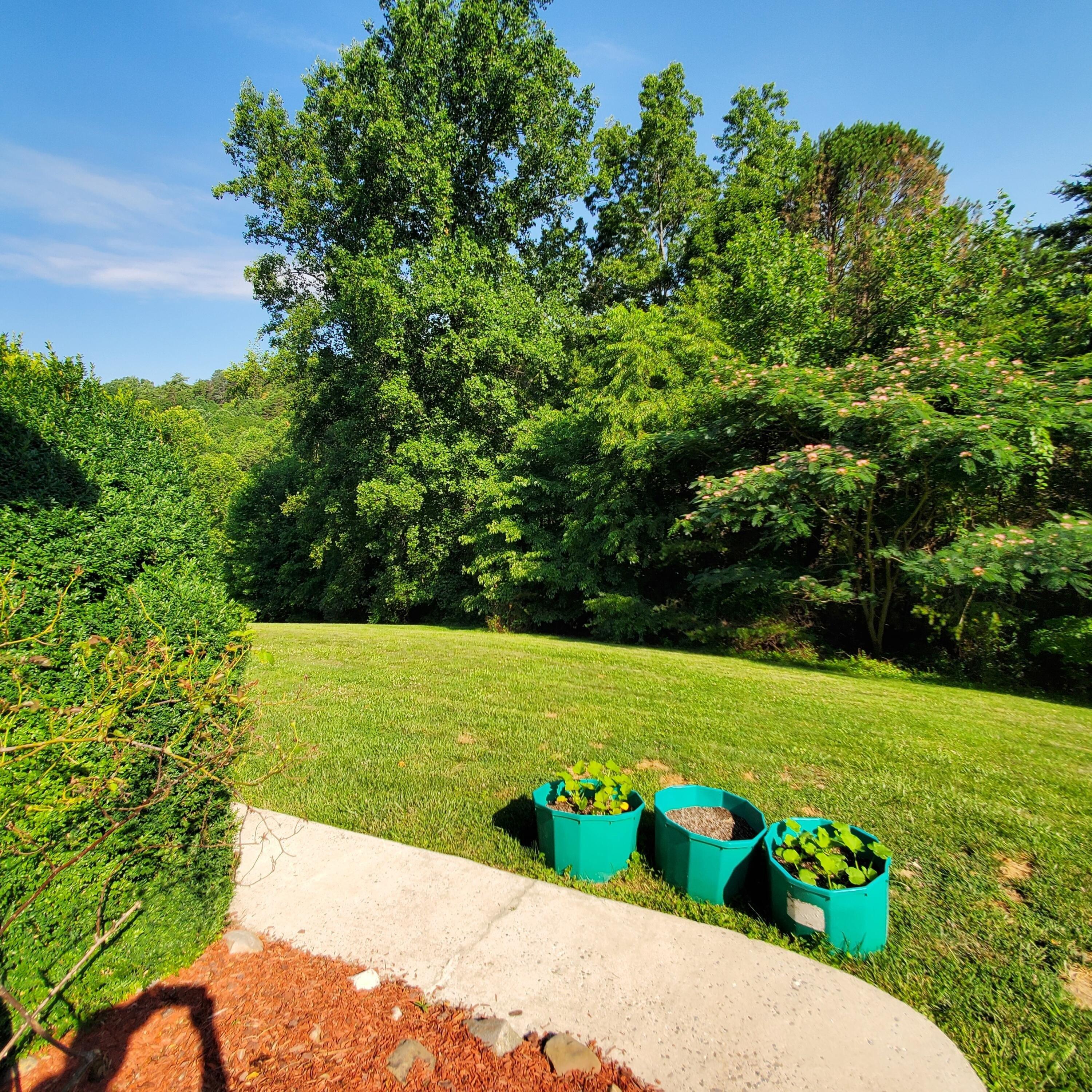 Burch Hill Dr, Buena Vista, VA 24416