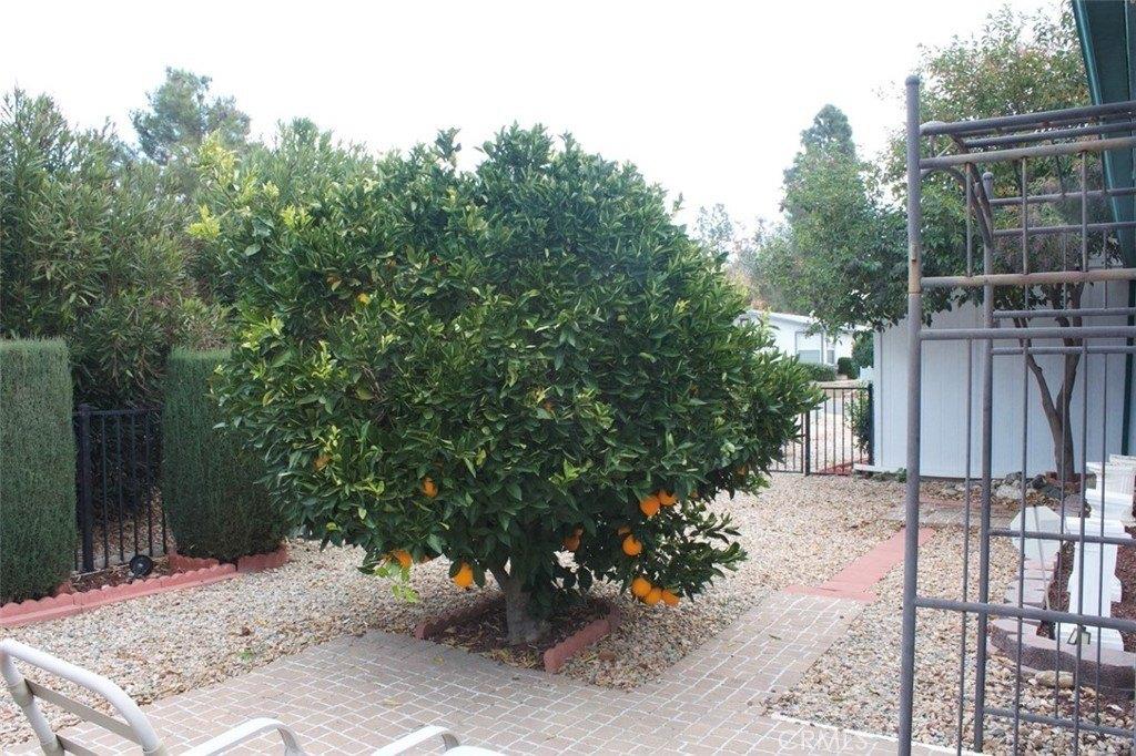 Crestknoll Dr, Calimesa, CA 92320