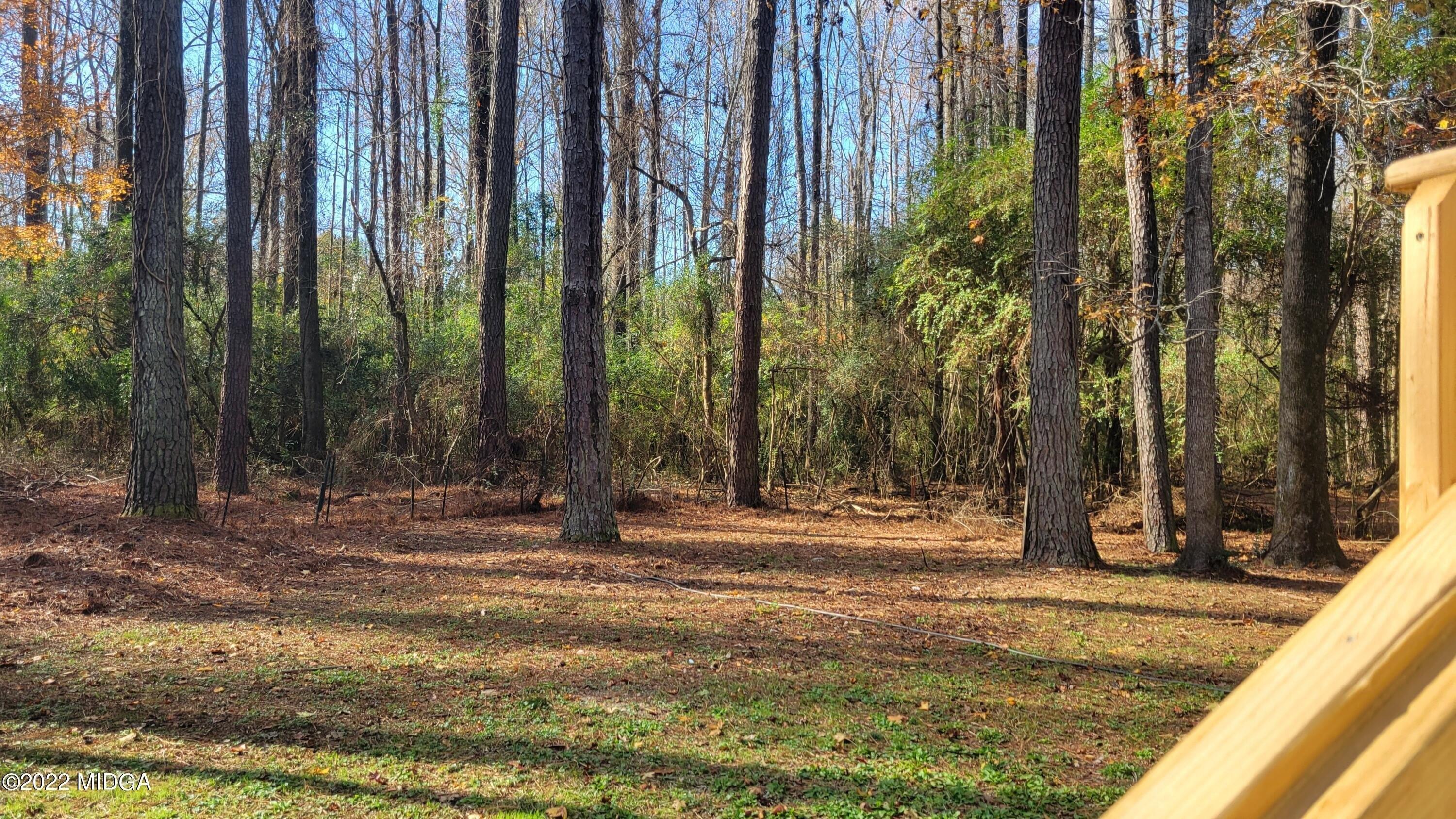 Springview Dr, Macon, GA 31220