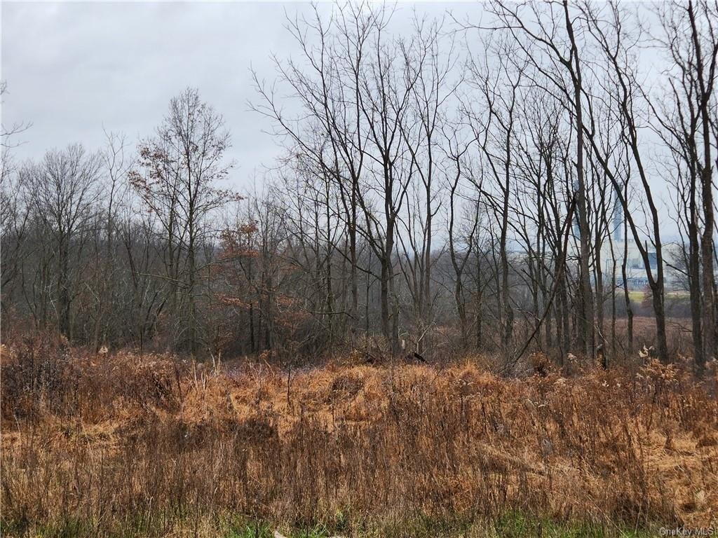 Bates Gates Rd, New Hampton, NY 10958