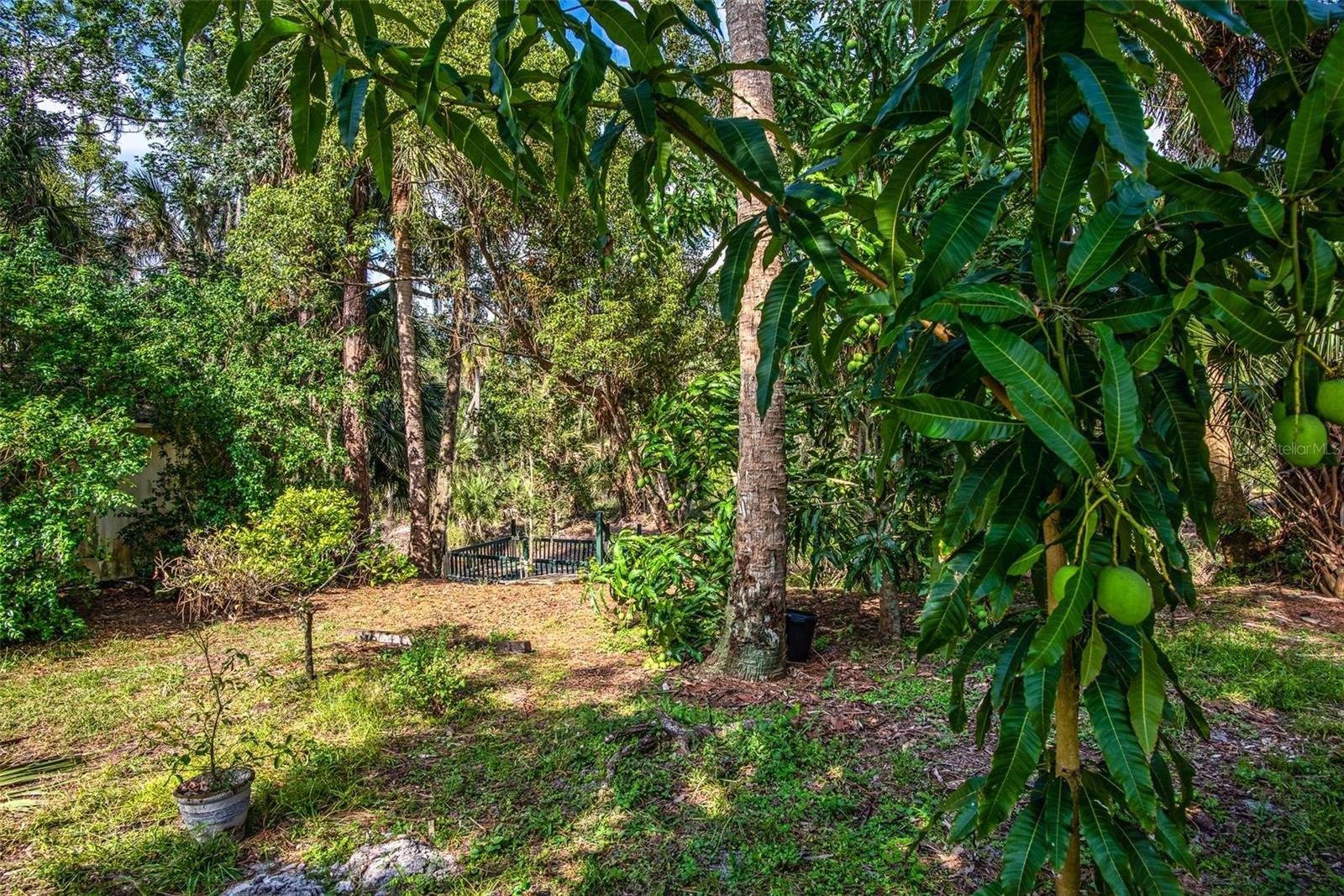 Jane Creek Dr, Geneva, FL 32732